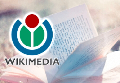 Благотворительная организация «Wikimedia Foundation, Inc»